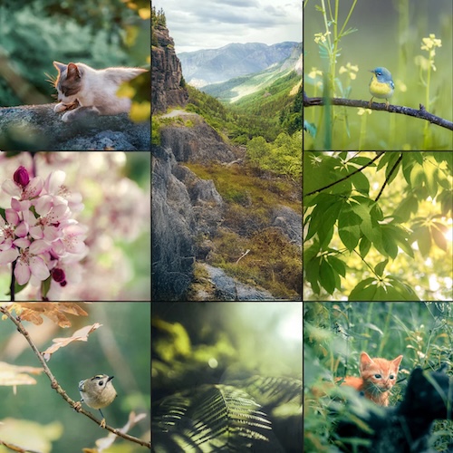 Voorbeeld van Lightroom Preset-Bright-green