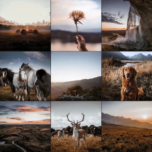 Voorbeeld van Lightroom Preset-Muted-Mood