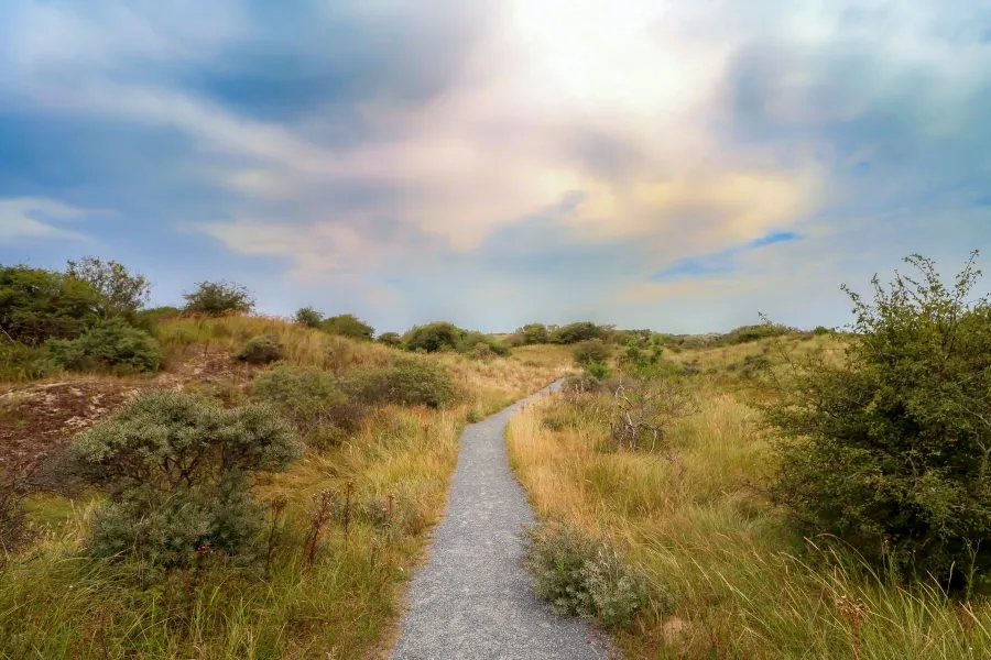 Duinzicht Wassenaar - Adem van het kustlicht 🌤️ Het duinlandschap van Wassenaar strekt zich uit in golven van zand en gras. De wind fluistert zacht over de toppen, het lich... - Landscape - Wassenaar
