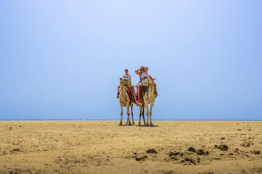 Een bijzondere tocht - Tijdens ons verblijf in Marsa Alam maakten we een bijzondere tocht over een drooggevallen strand, ontstaan door de eb. Een landschap dat je niet snel... - Portret - Marsa Alam