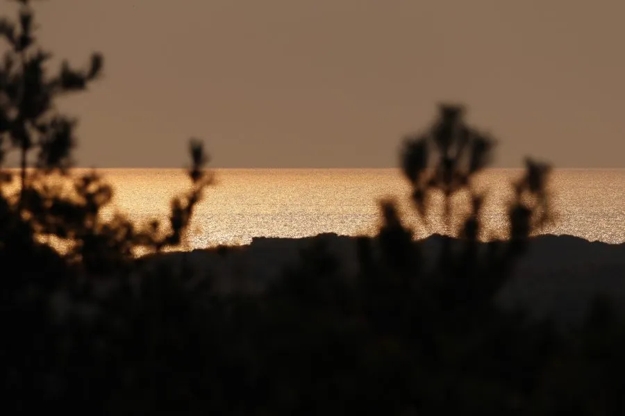 Schitterende zon op zee - Licht dat leeft 🌊 De zon schittert op het water, duizenden vonkjes dansen op de golven. De zee ademt ritme en rust, het licht breekt in zilver en goud... - Landscape - Wassenaar