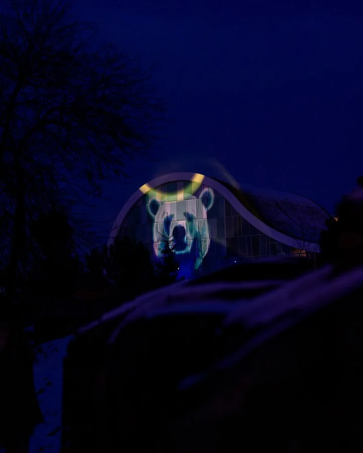 WILDnights